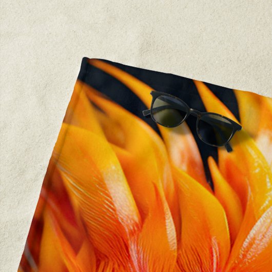 Parish Strandlaken (In situ)