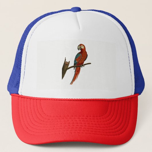 Parish Trucker Pet (Voorkant)
