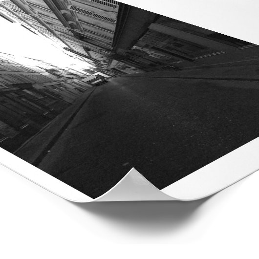 Parisian Alley Poster (Hoek)