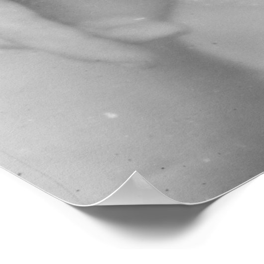 Parisian Beauty Poster (Hoek)