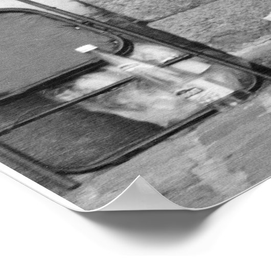 Parisian Gypsy Poster (Hoek)