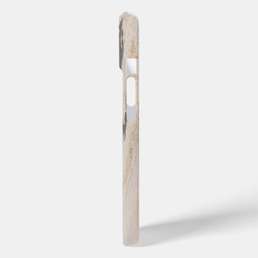 Park Algemene winkel iPhone Case (Achterkant / Links)