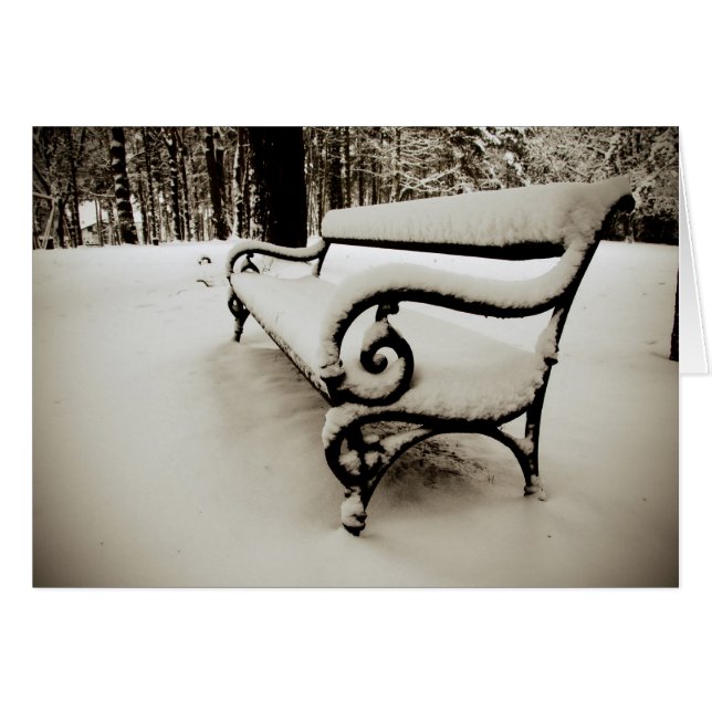 Park bank (Voorkant Horizontaal)