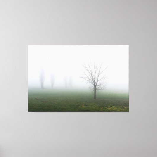 Park bedekt met dikke mist canvas afdruk (Voorkant)