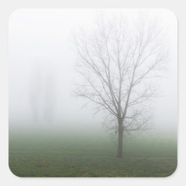 Park bedekt met dikke mist vierkante sticker