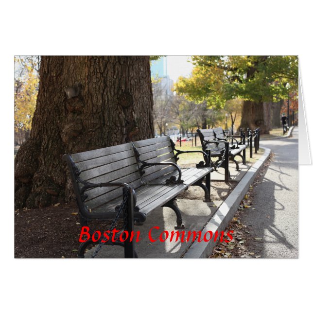 Park Bench, Boston Commons, Massachusetts (Voorkant Horizontaal)