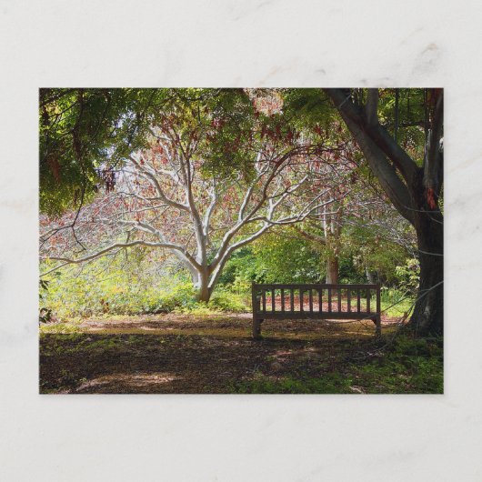 Park Bench Briefkaart (Voorkant)