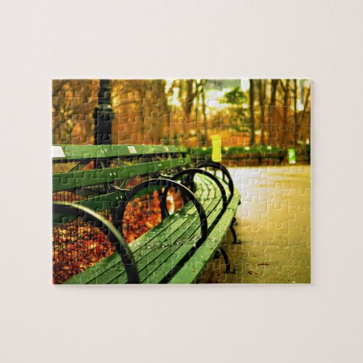 Park Bench Central Park in de Herfst Legpuzzel (Horizontaal)