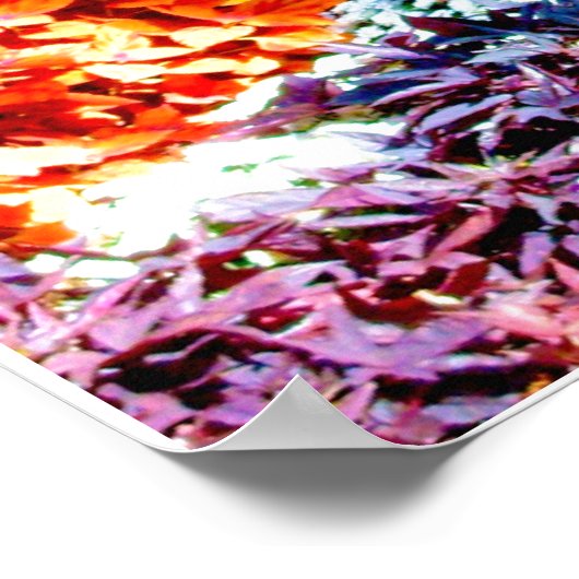 Park Bench in Botanical Garden Poster (Hoek)