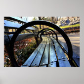 Park Bench in Central Park, NYC Poster (Voorkant)