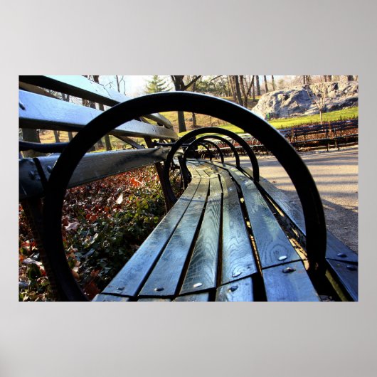 Park Bench in Central Park, NYC Poster (Voorkant)