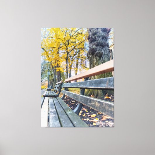 Park Bench in de herfst landschap Canvas Afdruk (Voorkant)