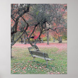 Park Bench in het Poster van het najaar