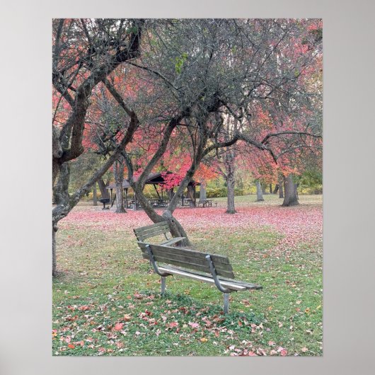 Park Bench in het Poster van het najaar (Voorkant)