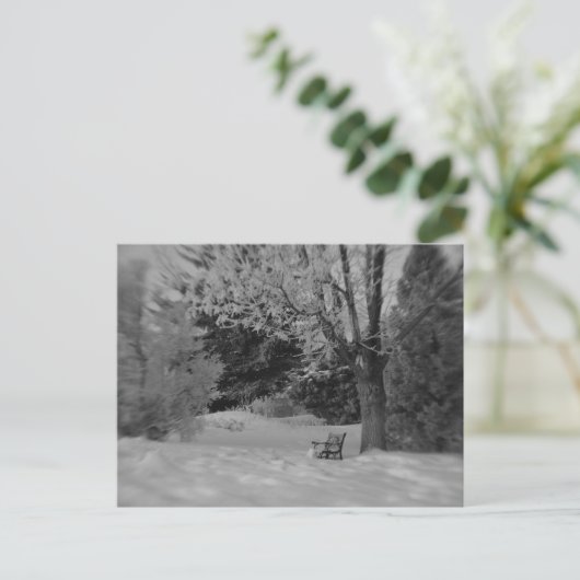 Park Bench in Winter Briefkaart (Staand voorkant)