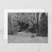 Park Bench in Winter Briefkaart (Voorkant / Achterkant)