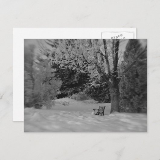 Park Bench in Winter Briefkaart (Voorkant / Achterkant)