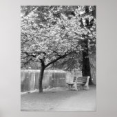 Park Bench Poster (Voorkant)