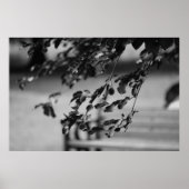 Park Bench Poster (Voorkant)