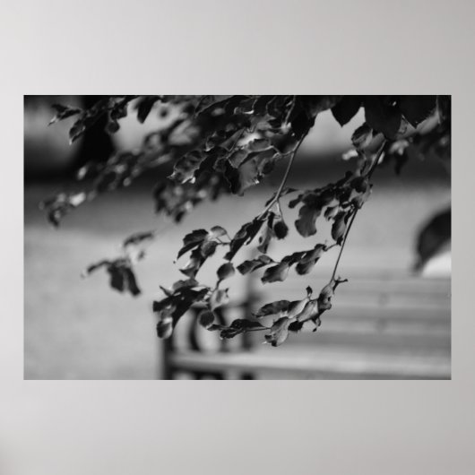 Park Bench Poster (Voorkant)