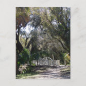 Park Bridge Briefkaart (Voorkant)