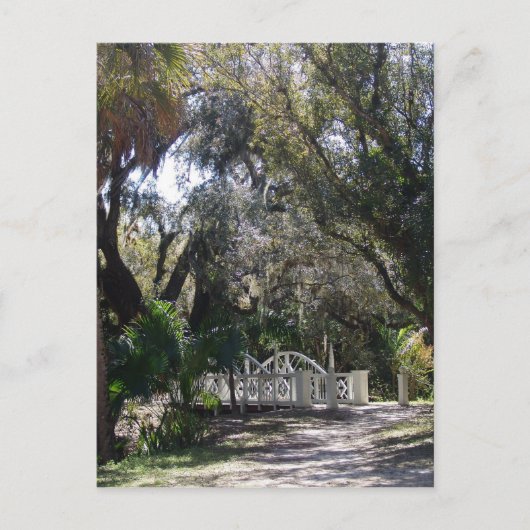 Park Bridge Briefkaart (Voorkant)