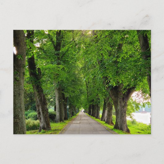 Park Briefkaart (Voorkant)