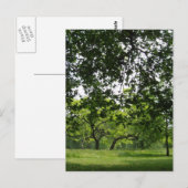 Park Briefkaart (Voorkant / Achterkant)