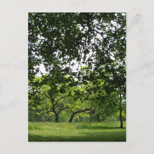 Park Briefkaart (Voorkant)