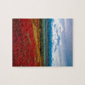 Park Briljante kleuren van Denali Alaska Legpuzzel (Horizontaal)