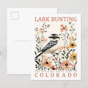 Park Bunting Bird of Colorado Verenigde Staten Rei Briefkaart