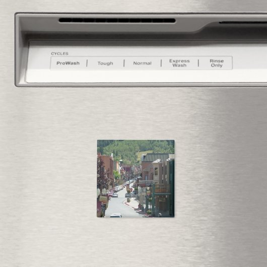 Park City Magneet (Insitu (Vaatwasser))