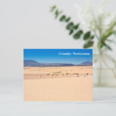 park Corralejo, Fuerteventura - briefkaart (Staand voorkant)