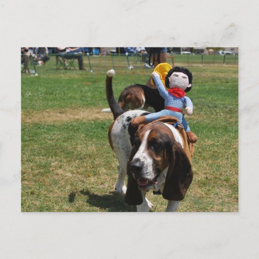 Park de Basset Hound Briefkaart (Voorkant)