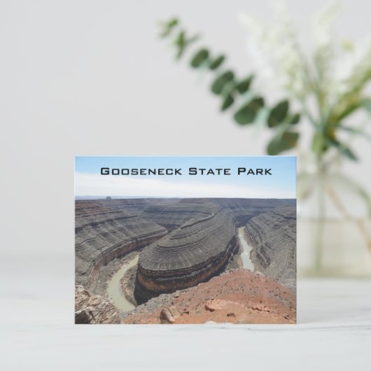 Park Gooseneck State Park Briefkaart (Staand voorkant)
