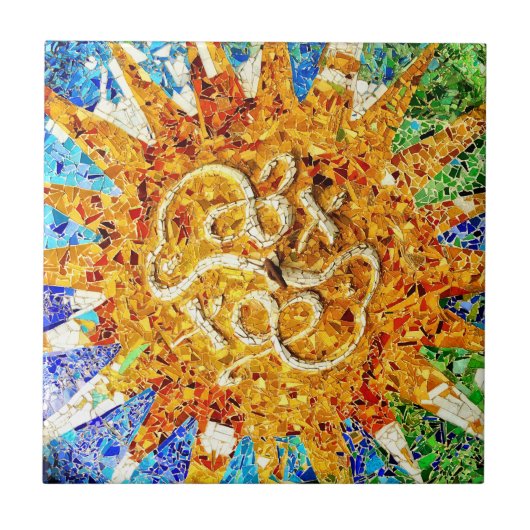 Park Guell mosaics Tegeltje (Voorkant)