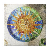 Park Guell mosaics Tegeltje (Voorkant)