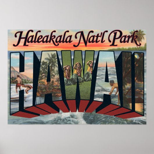 Park Haleakala Nat'l, Hawaii Poster (Voorkant)