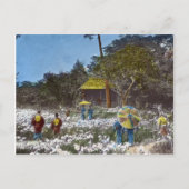 Park in Tokyo Japan  Hand Tinted Briefkaart (Voorkant)