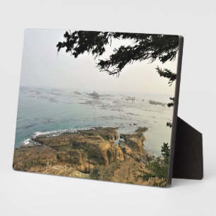 Park Kaap Arago, kust van Oregon Fotoplaat