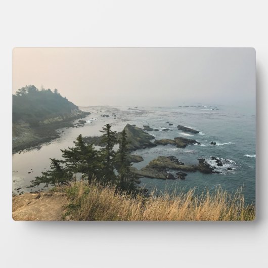 Park Kaap Arago, kust van Oregon Fotoplaat (voorkant)