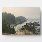 Park Kaap Arago, kust van Oregon Fotoplaat (voorkant)
