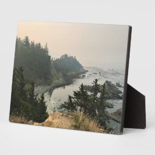 Park Kaap Arago, kust van Oregon Fotoplaat