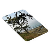 Park Kaap Arago, kust van Oregon Magneet (Rechterzijde)