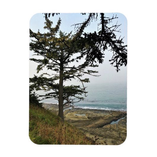 Park Kaap Arago, kust van Oregon Magneet (Verticaal)