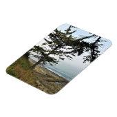 Park Kaap Arago, kust van Oregon Magneet (Linkerzijde)