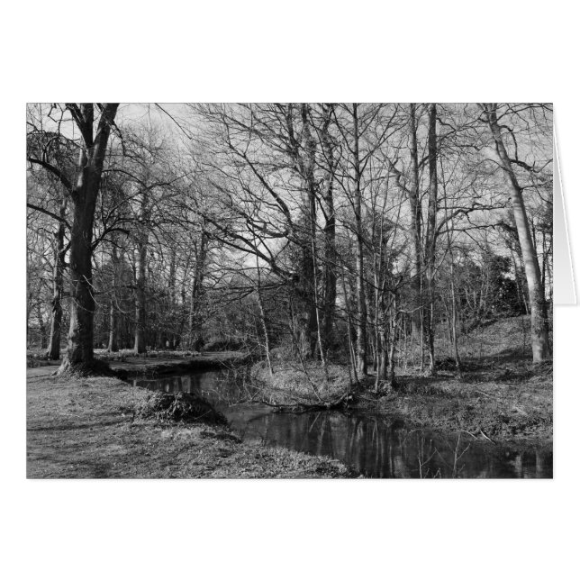 Park Landscape - Bute Park, Cardiff (Voorkant Horizontaal)