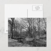 Park Landscape - Bute Park, Cardiff Briefkaart (Voorkant / Achterkant)