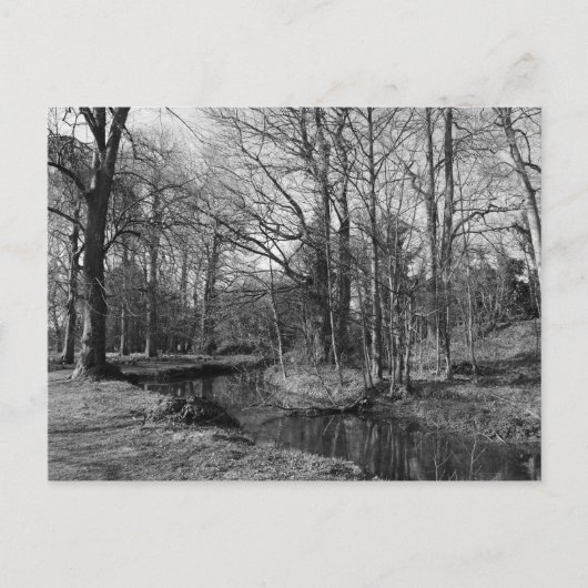 Park Landscape - Bute Park, Cardiff Briefkaart (Voorkant)