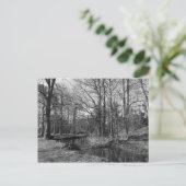 Park Landscape - Bute Park, Cardiff Briefkaart (Staand voorkant)